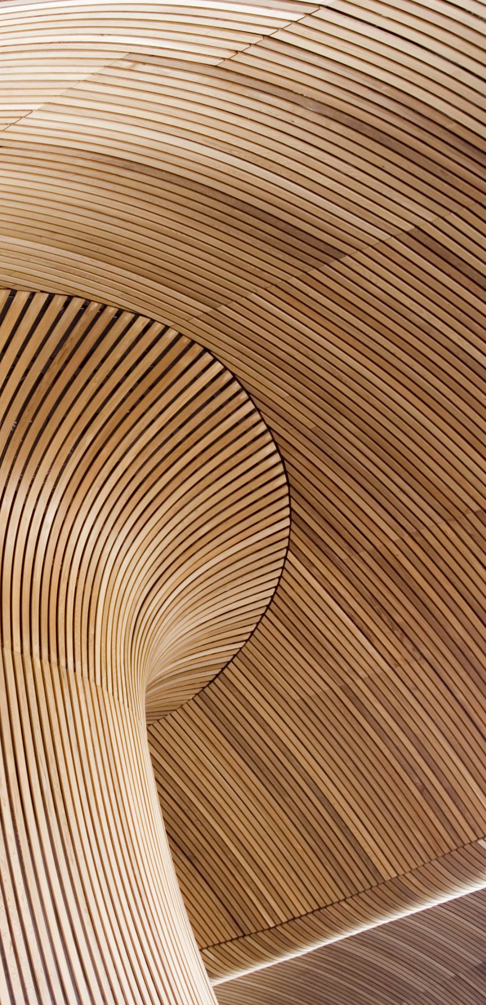 arredo pavimenti genova